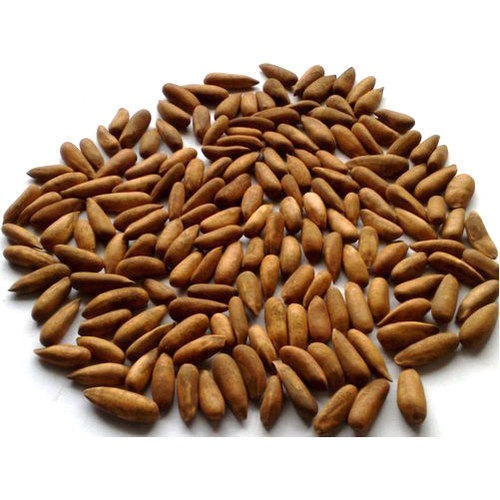 Fresh Roasted Black Chilghoza (Pine Nuts) - Available in 1kg & 500g | Best Prices in Pakistan