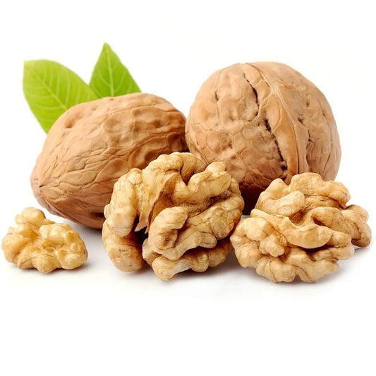 Premium American Hartley Walnuts In Shell – Soft Shell  (اخروٹ امریکن) - Quetta dry fruits