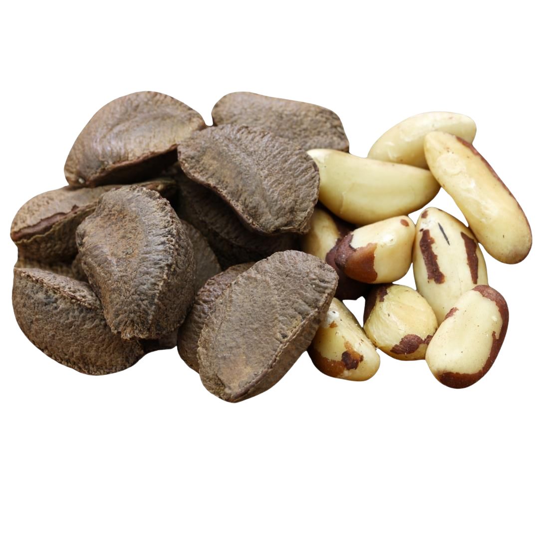 Premium Brazil Nuts with Shell – Nature’s Power Packed in a Shell- Quetta dry fruits-Fresh