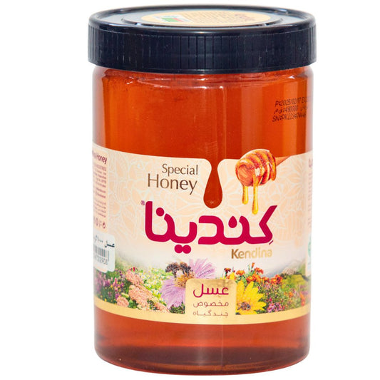 Buy Kendina Honey Online | Premium Quality Natural Honey Pakistan 450g, 900g Plastic Jar -Buy Honey Online at Best Price in Pakistan